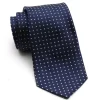 State and Liberty Navy with White Dots Woven Silk Tie