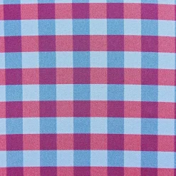 State and Liberty "The Langford" Red and Blue Big Gingham