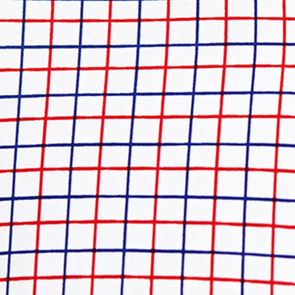 State and Liberty "The Potomac" Red and Blue Cross Stitch